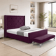 Plum Plush