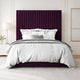 Plum Plush