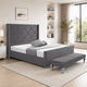 Grey Plush