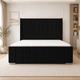 Black Plush