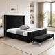 Black Plush
