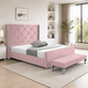 Pink Plush
