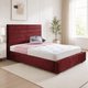 Burgundy Plush