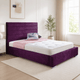 Plum Plush