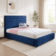 Midnight Blue Plush