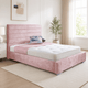 Pink Plush